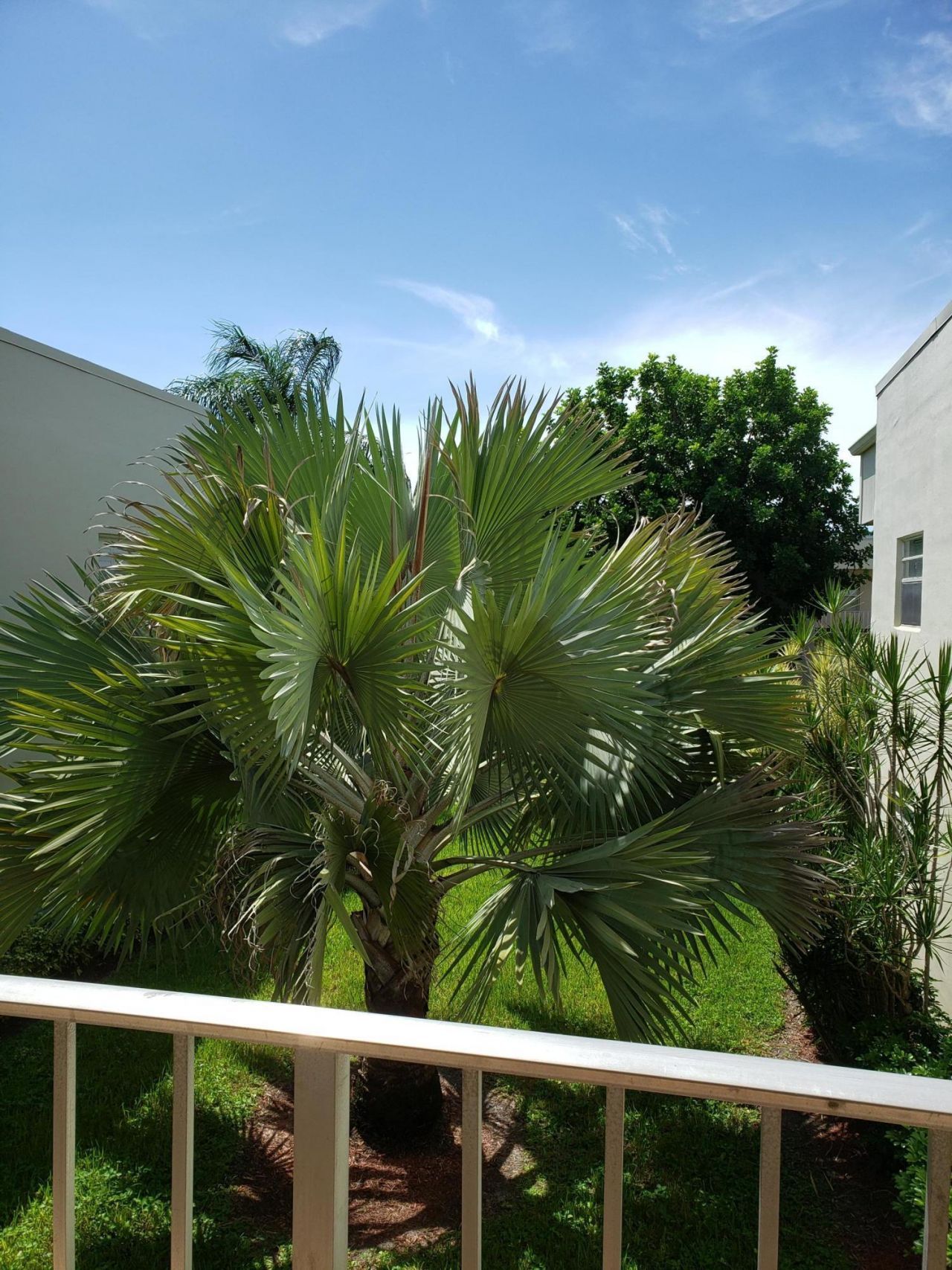 904 Flanders Drive S, Delray Beach, FL 33484 Photo