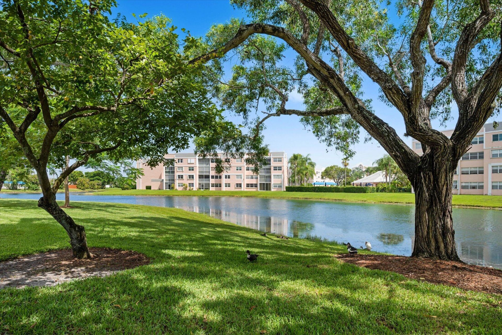 2764 NW 104th Avenue, Unit 202, Sunrise, FL 33322 Photo