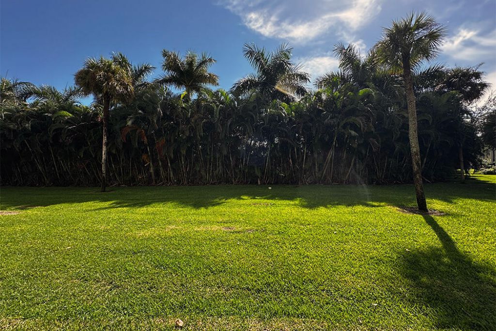 3000 Presidential Way, Unit Apt 106, West Palm Beach, FL 33401 Photo
