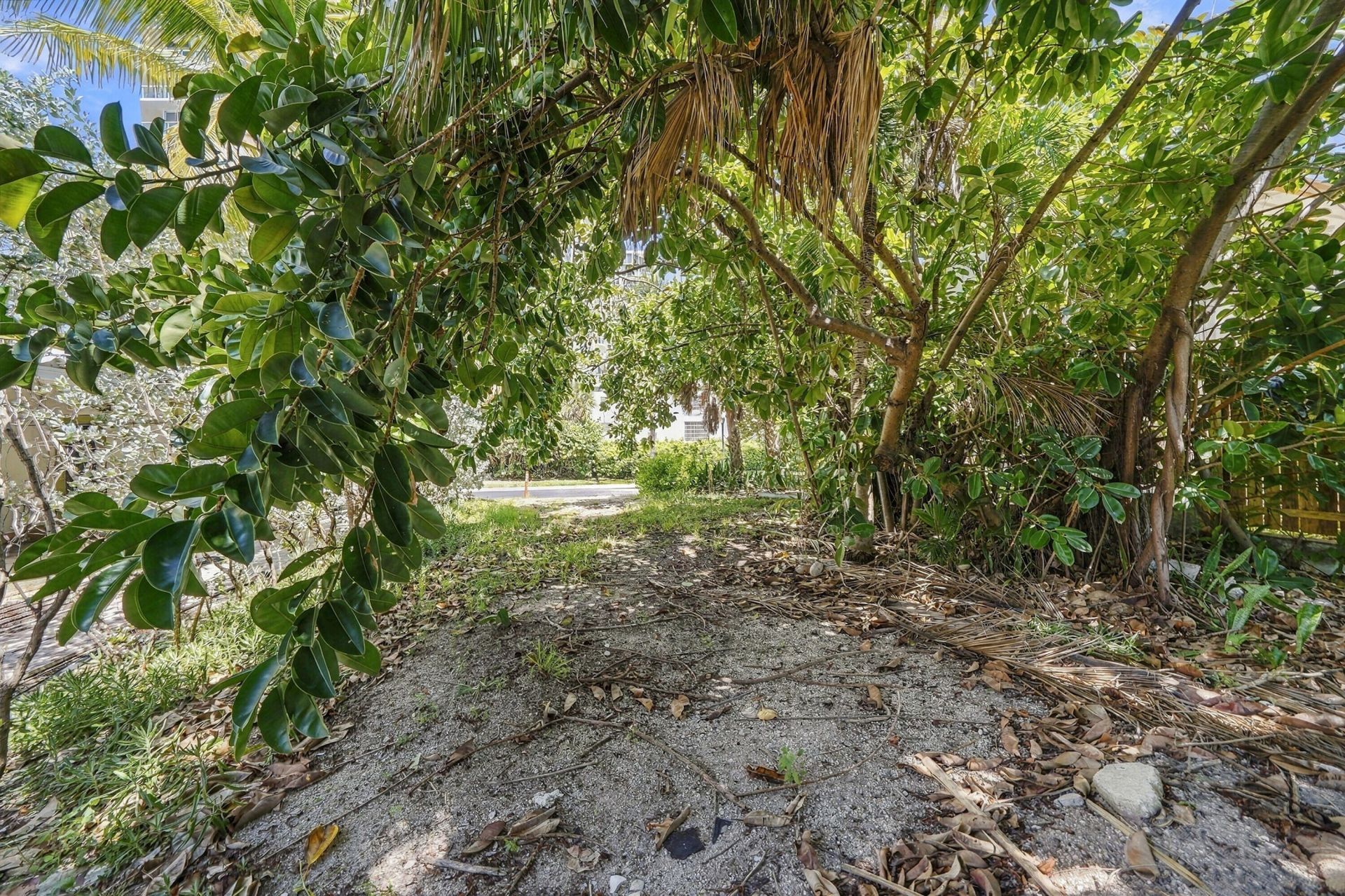 308 Balboa Street, Hollywood, FL 33019 Photo
