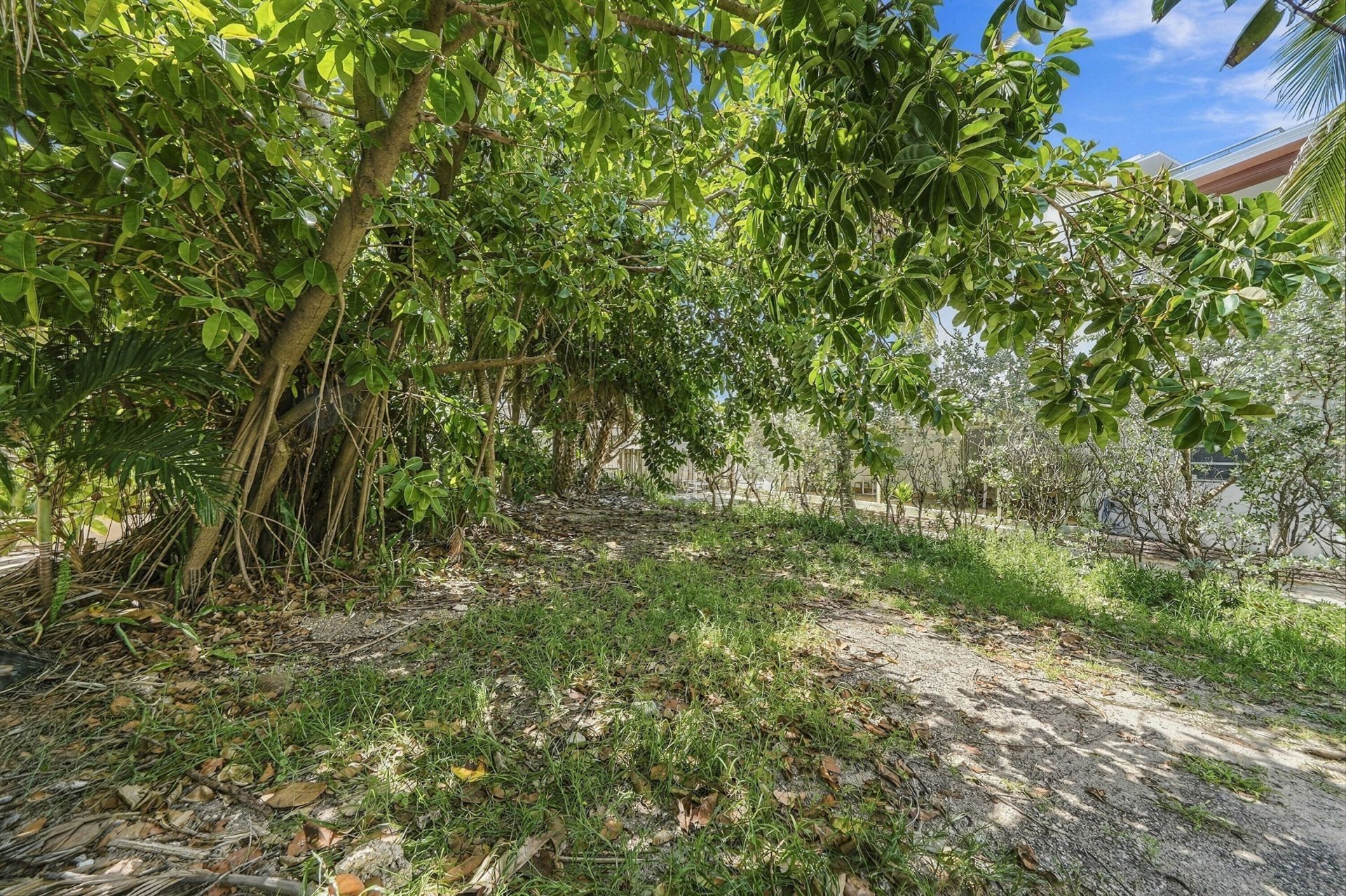 308 Balboa Street, Hollywood, FL 33019 Photo