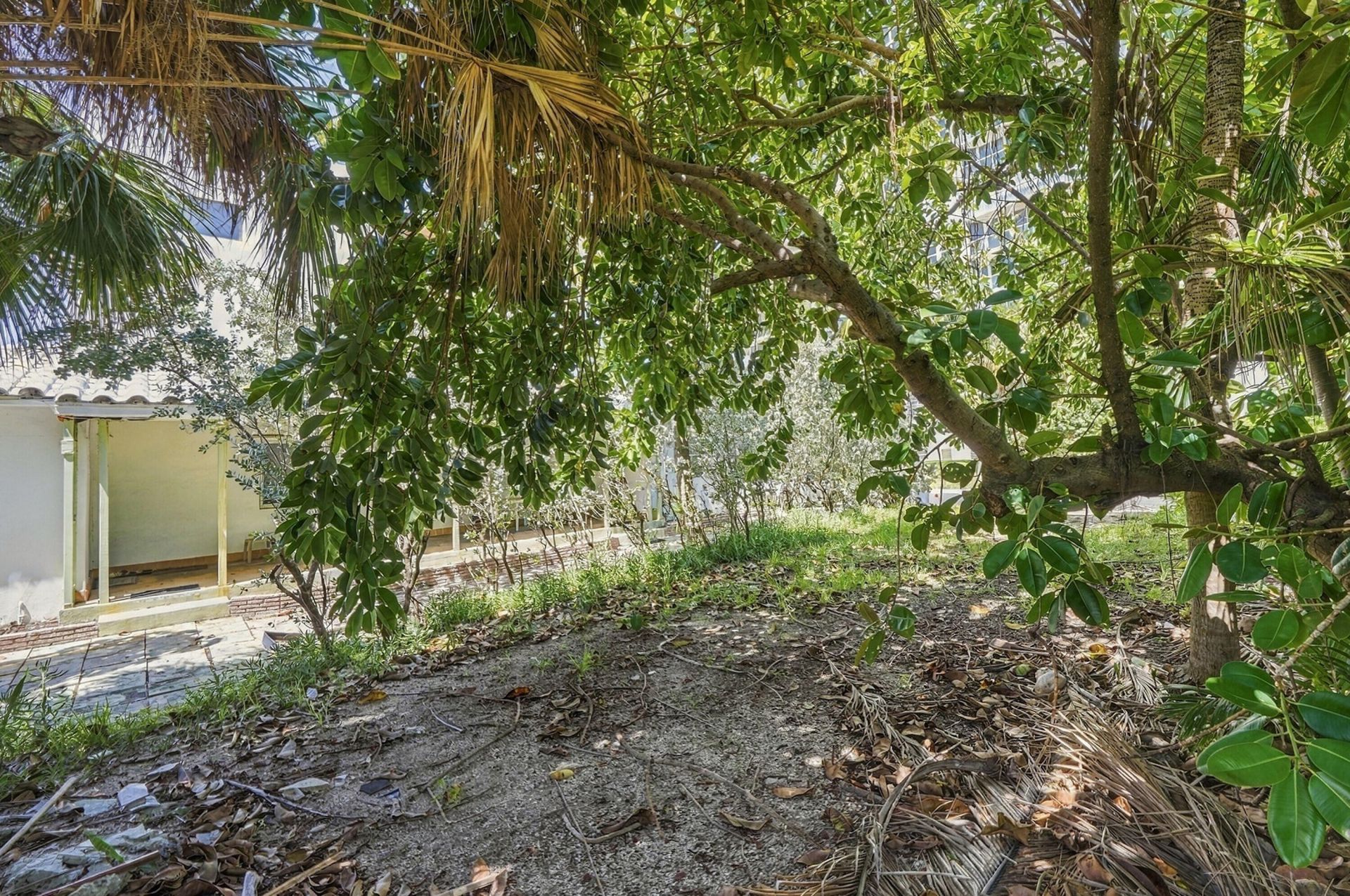 308 Balboa Street, Hollywood, FL 33019 Photo
