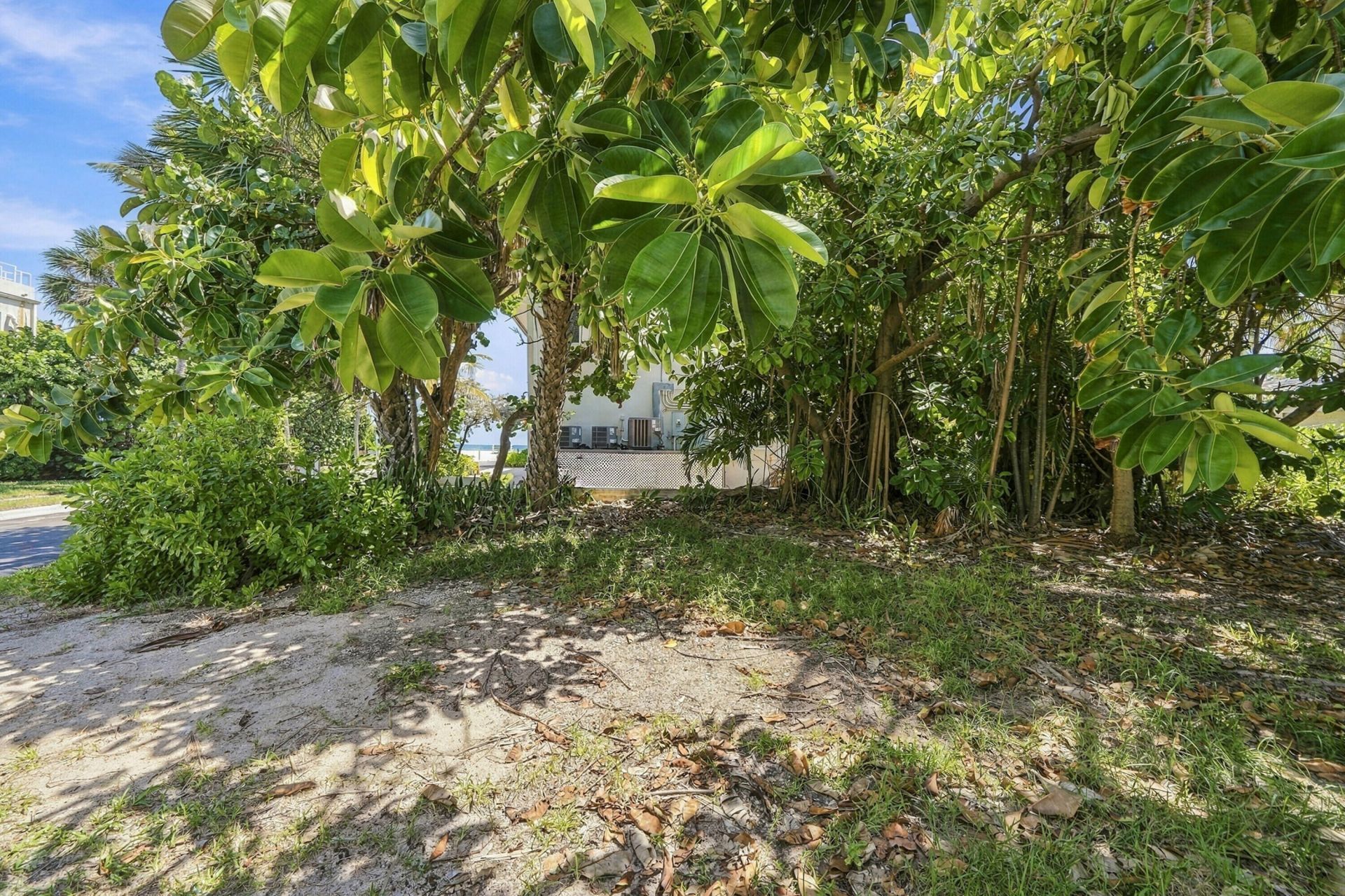 308 Balboa Street, Hollywood, FL 33019 Photo