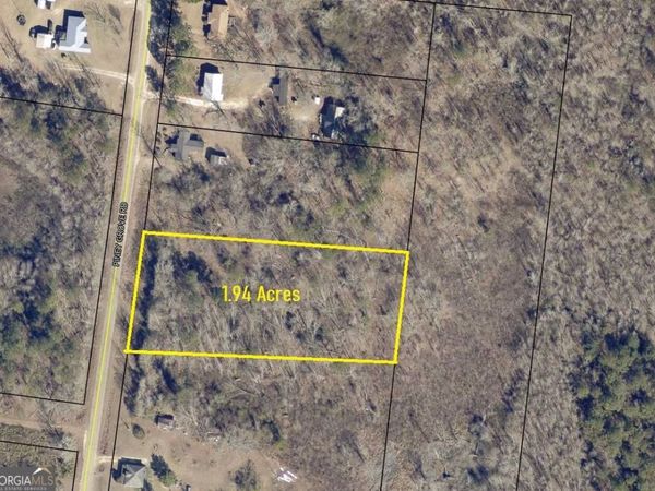 0 Piney Grove Road, Midville, GA 30441