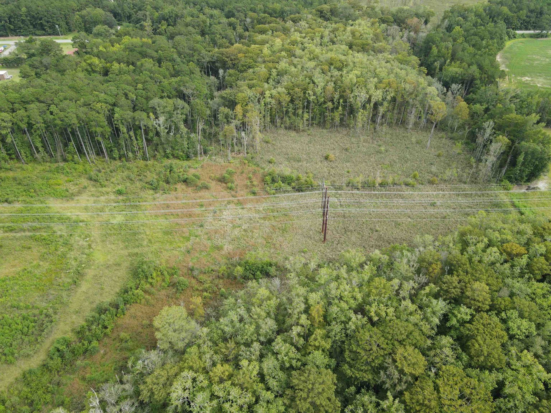 Tbd Mosdell Dr. Photo 18