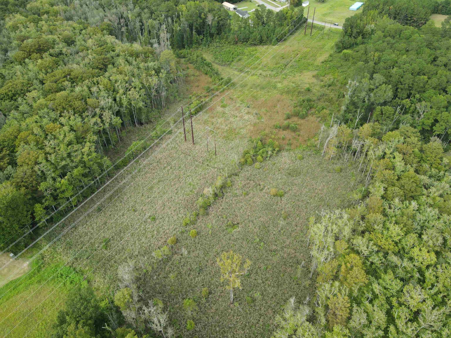 Tbd Mosdell Dr. Photo 4