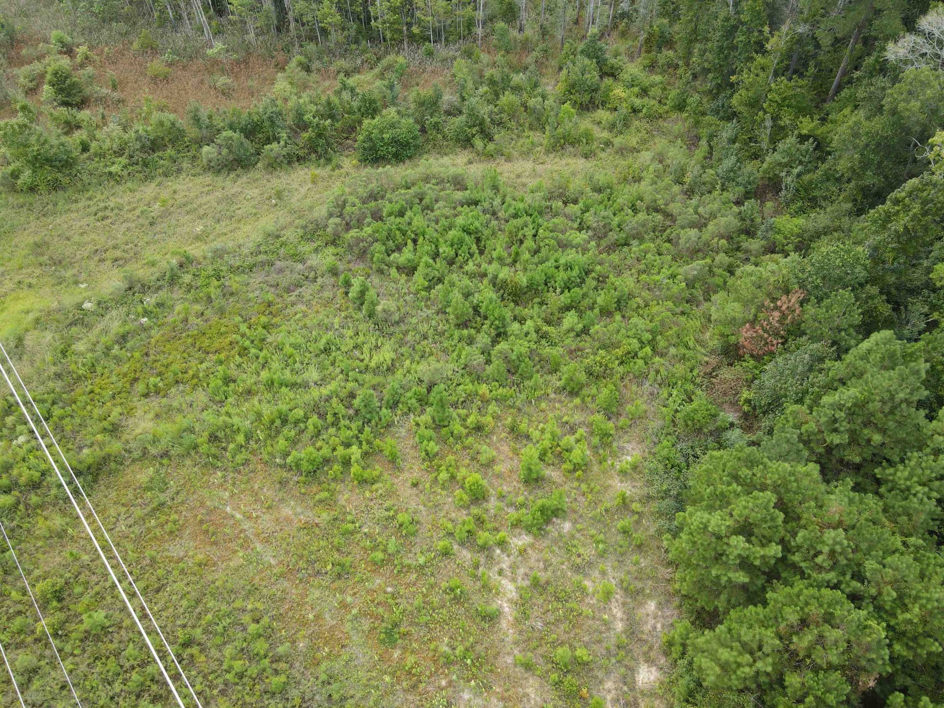 Tbd Mosdell Dr. Photo 6