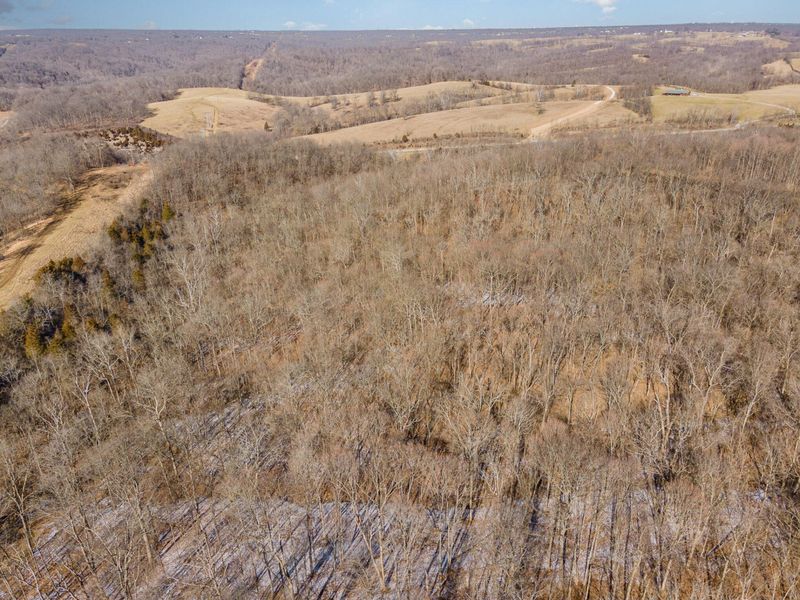 2407 Beaver Road, Unit B, Union, KY 41091 Photo 6