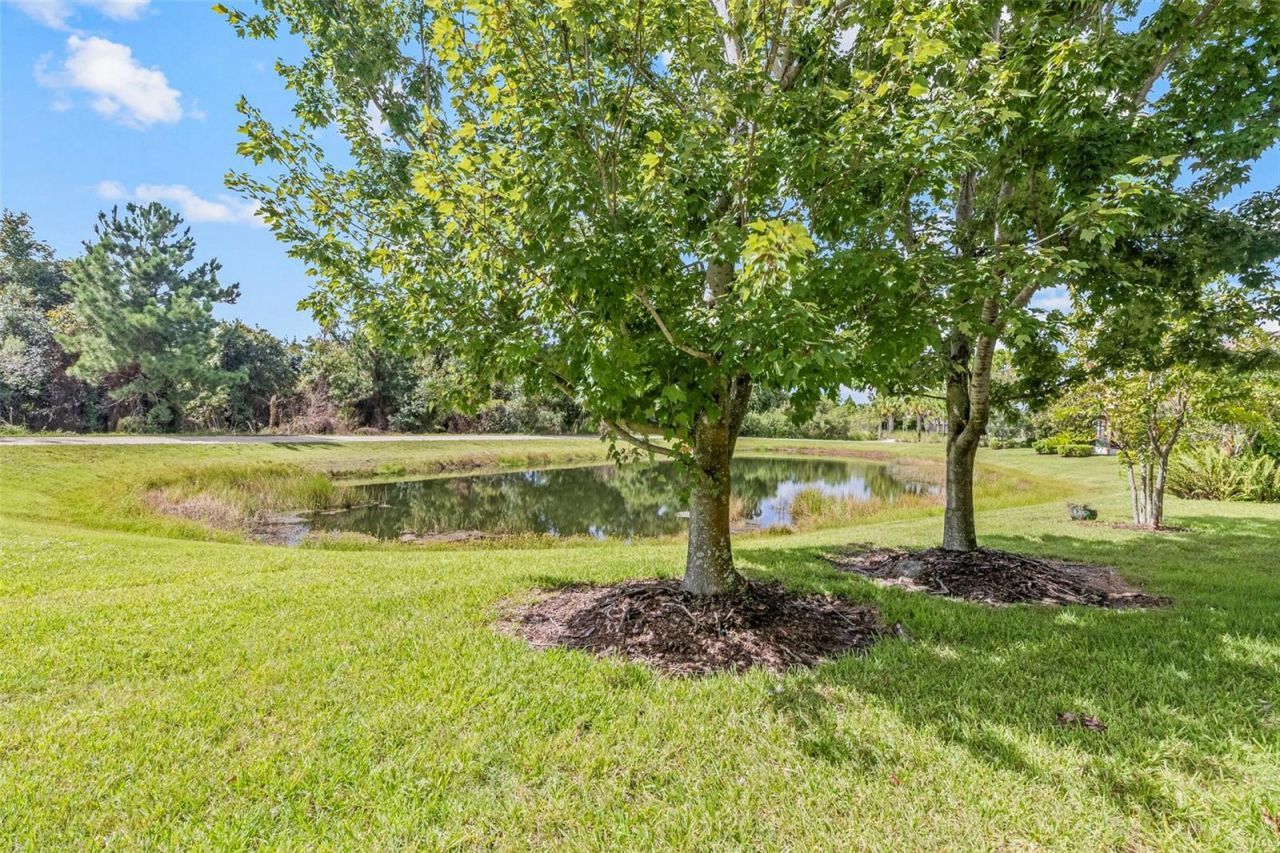 12161 Trailhead Drive, Bradenton, FL 34211 Photo