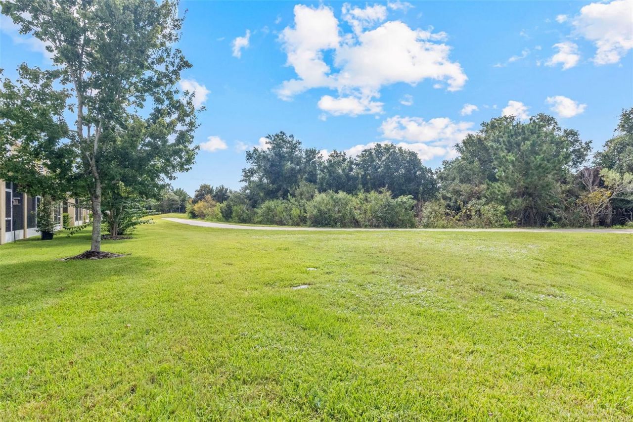 12161 Trailhead Drive, Bradenton, FL 34211 Photo