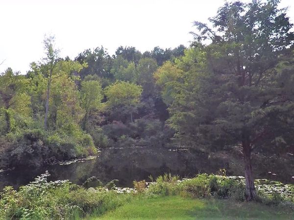 664 Grat Strasse Road, Manchester, MI 48158