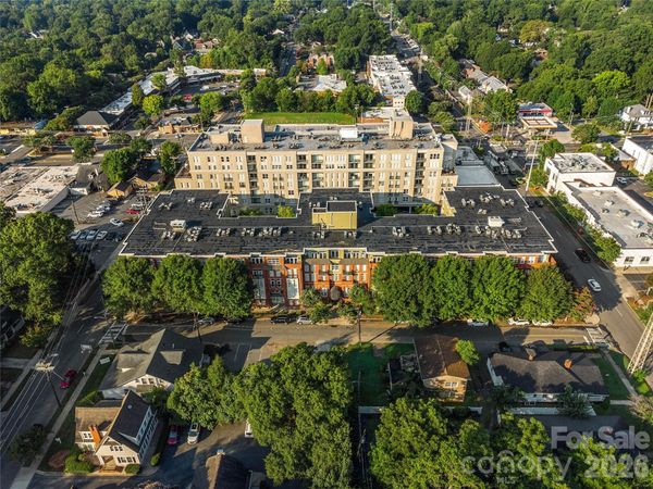 1320 Fillmore Avenue, Unit 113, Charlotte, NC 28203