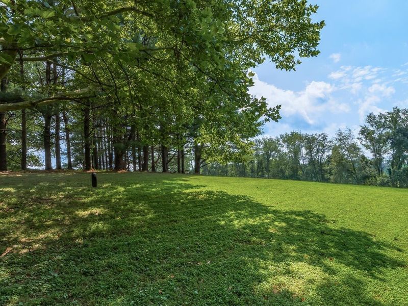 4280 Red Bud Road, Dresden, OH 43821 Photo 35