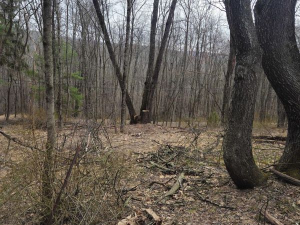 0 Kilmer Road, Springbrook Twp, PA 18444