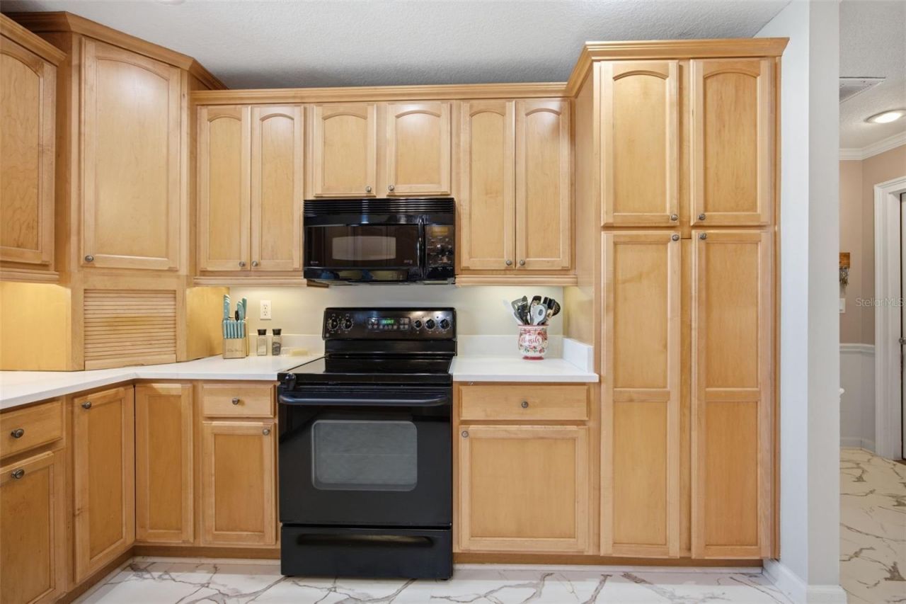 104 Mitchell Drive, Brandon, FL 33511 Photo