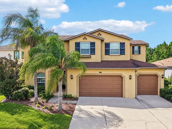 2589 GWYNHURST BOULEVARD, WESLEY CHAPEL, FL 33543