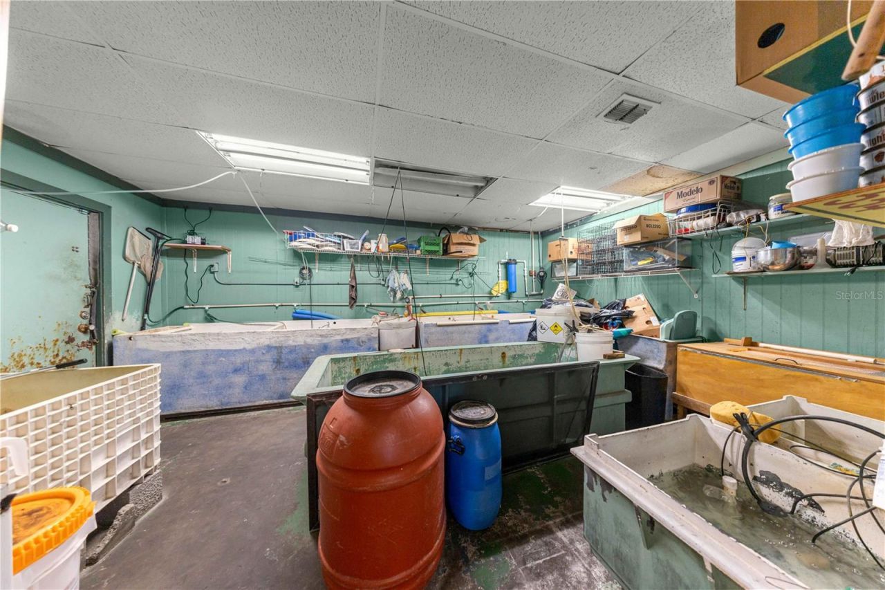 12139 S Williams Street, Dunnellon, FL 34432 Photo