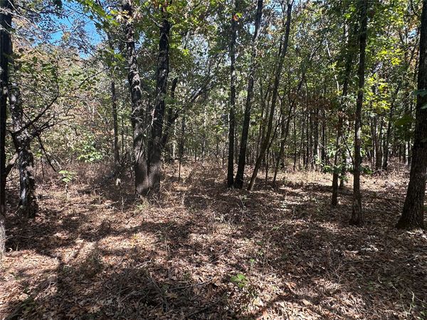 4300 Road, Big Cabin, OK 74332