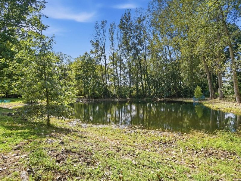 6147 Africa Road, Galena, OH 43021 Photo 56