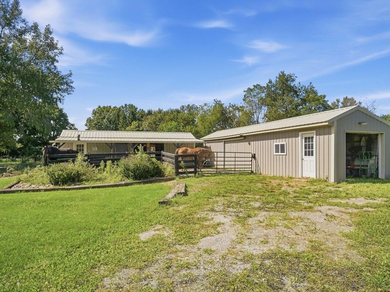 6147 Africa Road, Galena, OH 43021 Photo 59