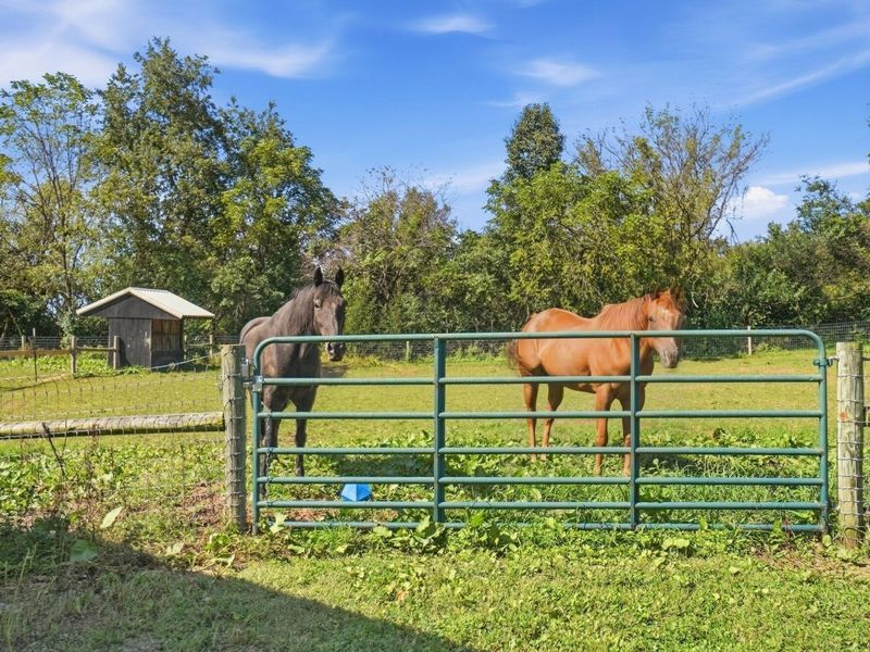 6147 Africa Road, Galena, OH 43021 Photo 61