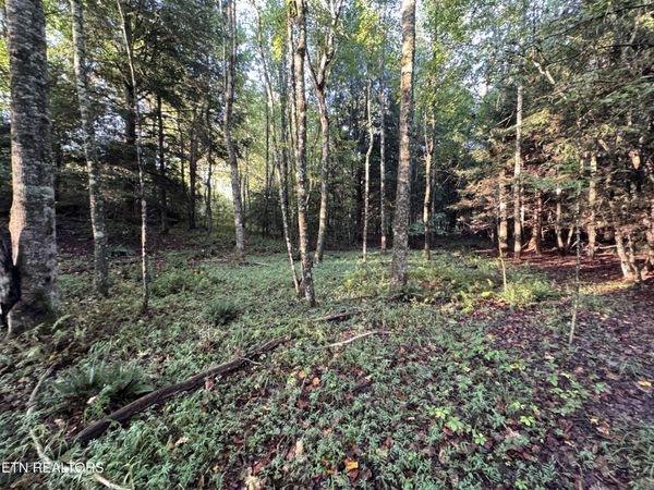Davis Rd , Deer Lodge, TN 37726