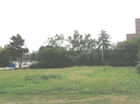 Main Photo