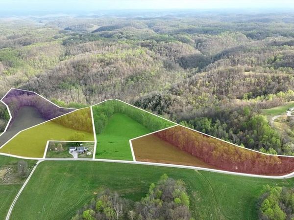 0 Clemons Ridge Rd Lots 1-4, Silver Point, TN 38582