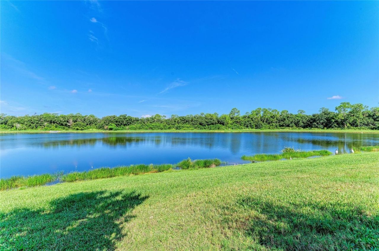 17009 Polo Trail, Bradenton, FL 34211 Photo