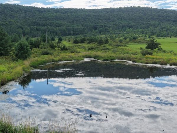 State Route 30, Gilboa, NY 12076