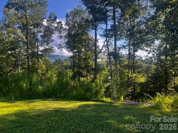 23 Mountain Parkway, Mill Spring, NC 28756