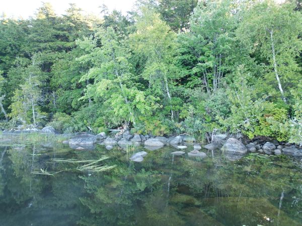 34 Merganser Lane, Lincoln, ME 04457
