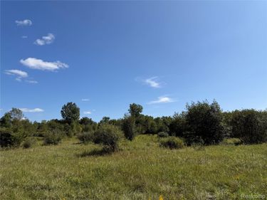 625 W Main Street, Otisville Village, Mi 48463