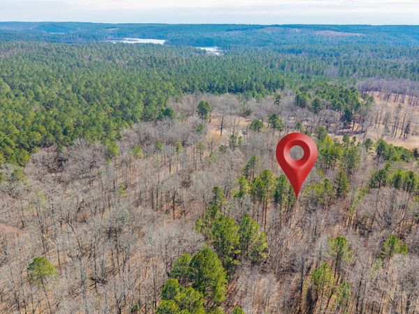 0000 Brushy Cemetery Road , Amity, AR 71921