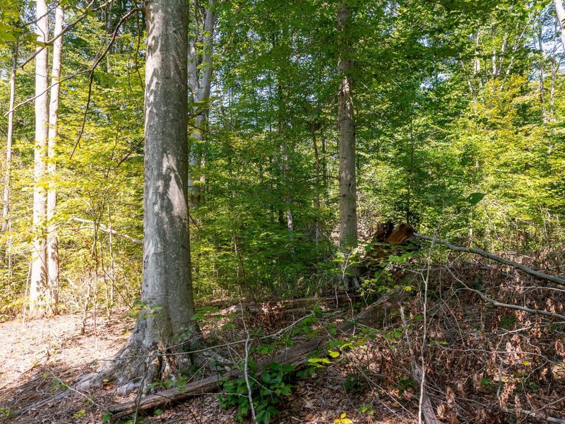 0 County Rd 269, Glouster, OH 45732 Photo 100