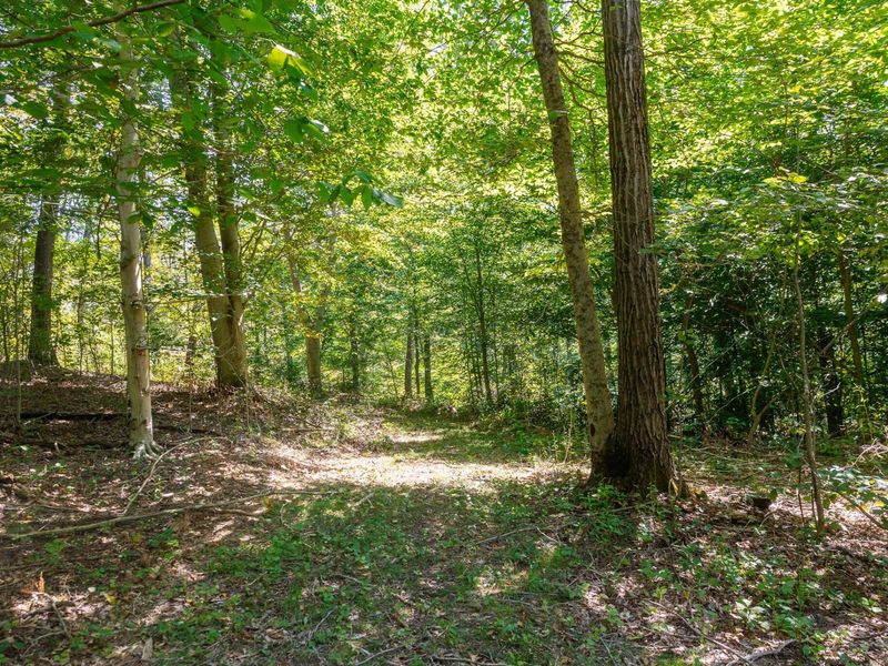 0 County Rd 269, Glouster, OH 45732 Photo 102