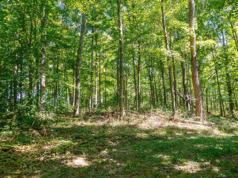 0 County Rd 269, Glouster, OH 45732 Photo 104