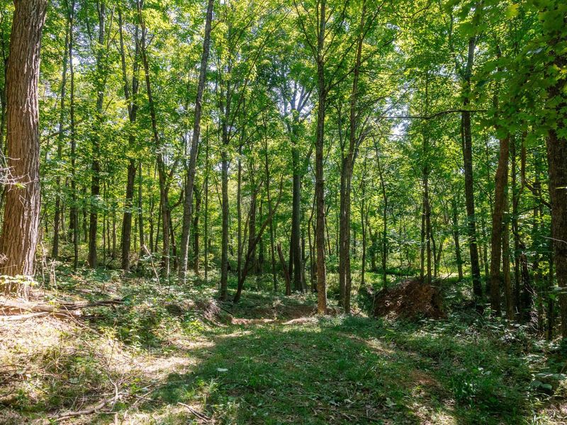 0 County Rd 269, Glouster, OH 45732 Photo 105