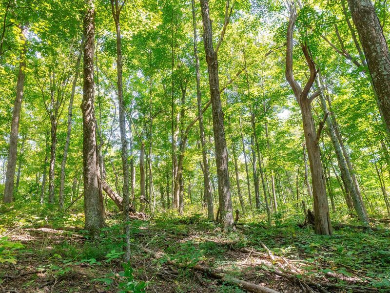 0 County Rd 269, Glouster, OH 45732 Photo 107