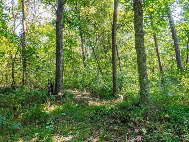 0 County Rd 269, Glouster, OH 45732 Photo 109