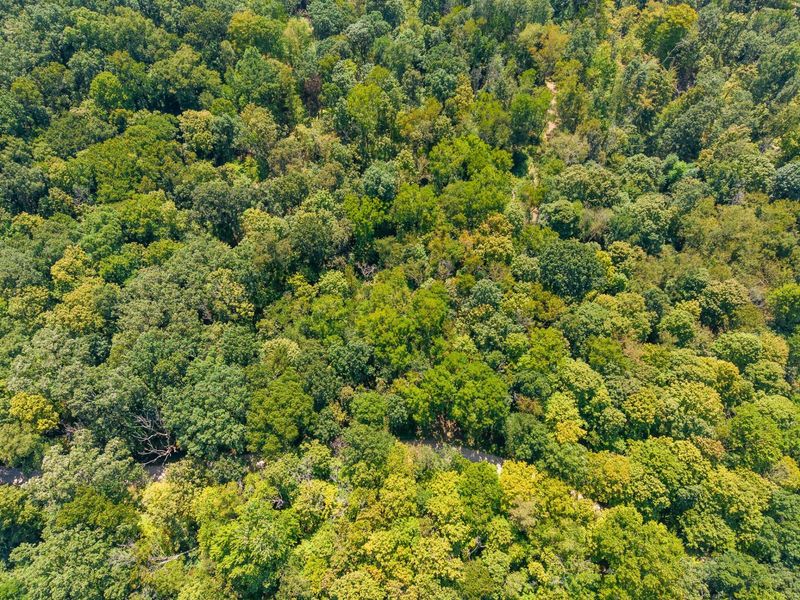 0 County Rd 269, Glouster, OH 45732 Photo 111