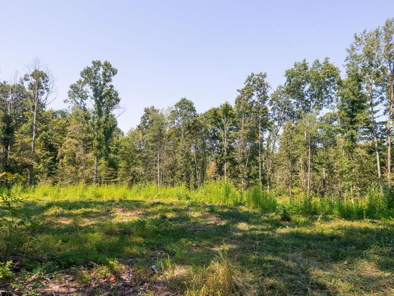 0 County Rd 269, Glouster, OH 45732 Photo 19