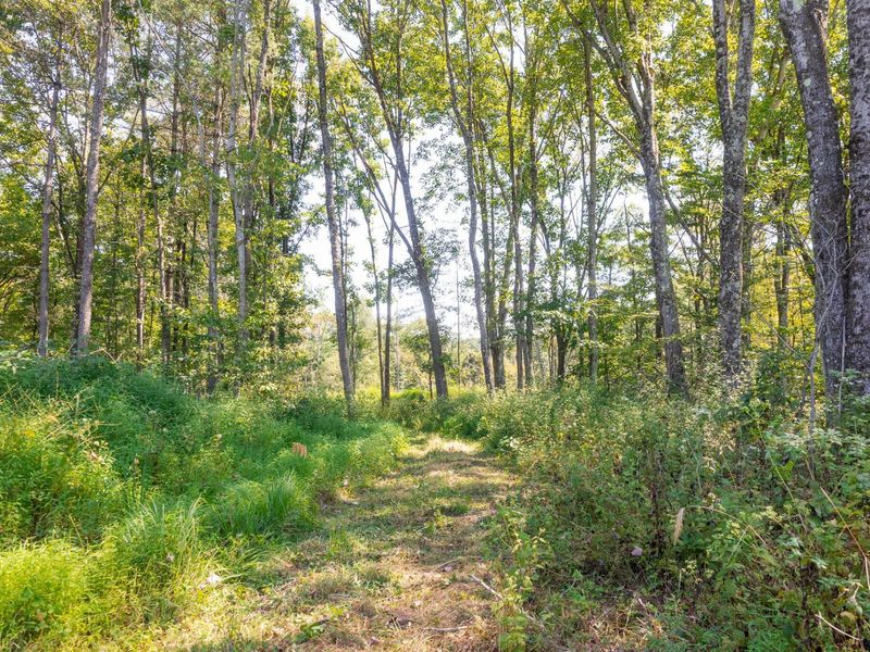 0 County Rd 269, Glouster, OH 45732 Photo 21
