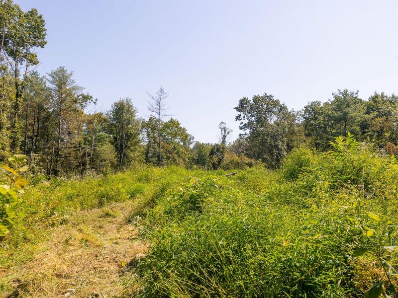 0 County Rd 269, Glouster, OH 45732 Photo 23