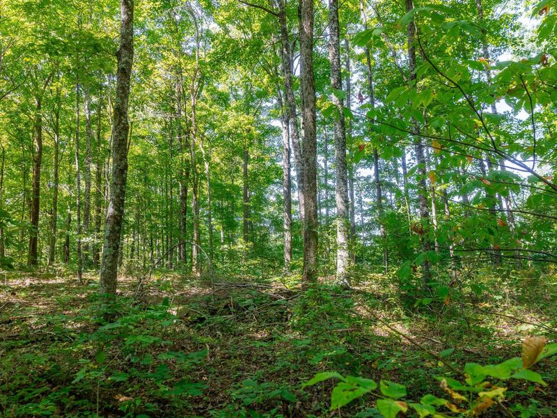 0 County Rd 269, Glouster, OH 45732 Photo 38