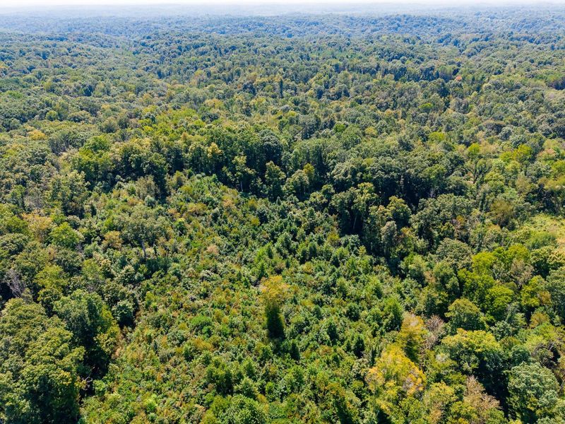 0 County Rd 269, Glouster, OH 45732 Photo 41