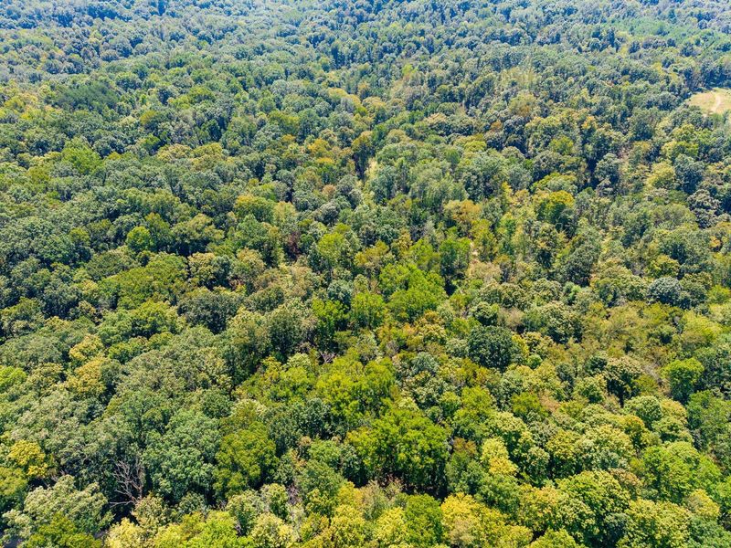 0 County Rd 269, Glouster, OH 45732 Photo 43