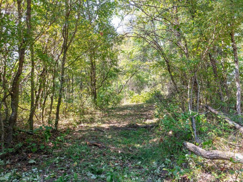 0 County Rd 269, Glouster, OH 45732 Photo 46