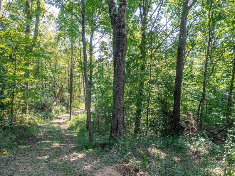 0 County Rd 269, Glouster, OH 45732 Photo 54
