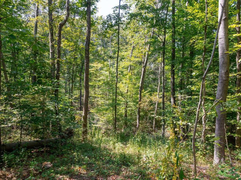 0 County Rd 269, Glouster, OH 45732 Photo 55